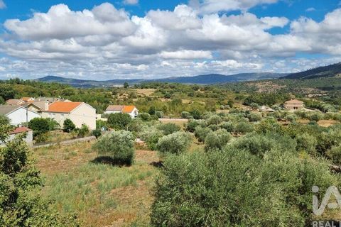 Tomt i Celorico da Beira, Guarda, Celorico da Beira - € 42 000 | Ref: 132506 - foto 3