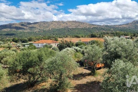 Tomt i Celorico da Beira, Guarda, Celorico da Beira - € 42 000 | Ref: 132506 - foto 9