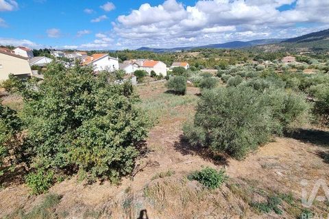 Tomt i Celorico da Beira, Guarda, Celorico da Beira - € 42 000 | Ref: 132506 - foto 11