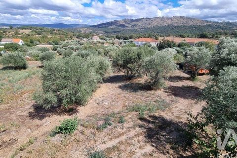 Tomt i Celorico da Beira, Guarda, Celorico da Beira - € 42 000 | Ref: 132506 - foto 12