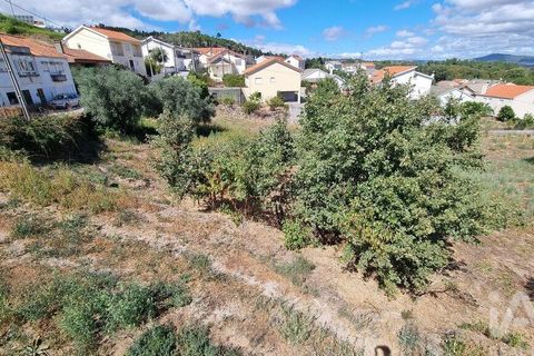 Tomt i Celorico da Beira, Guarda, Celorico da Beira - € 42 000 | Ref: 132506 - foto 13