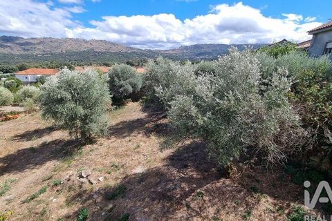 Tomt i Celorico da Beira, Guarda, Celorico da Beira - € 42 000 | Ref: 132506 - foto 14