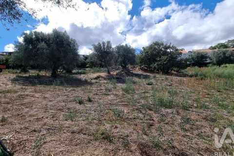 Tomt i Celorico da Beira, Guarda, Celorico da Beira - € 42 000 | Ref: 132506 - foto 15