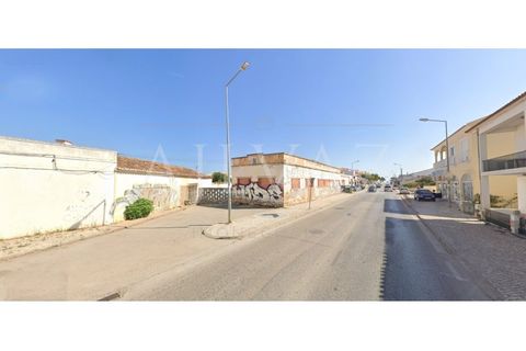 Terra a Ferreiras, Faro, Ferreiras - € 1.000.000 | Ref: TER_257 - foto 2
