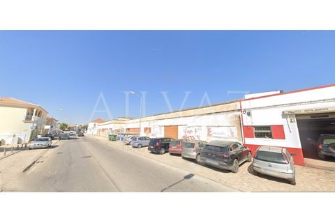 Terra a Ferreiras, Faro, Ferreiras - € 1.000.000 | Ref: TER_257 - foto 3
