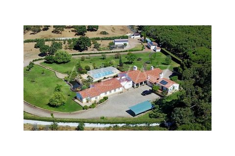 Farm i Sines, Setubal, Sines - € 2.900.000 | Ref: MAS_239 - foto 3