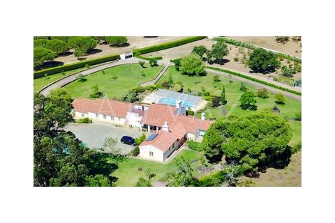 Farm i Sines, Setubal, Sines - € 2.900.000 | Ref: MAS_239 - foto 4