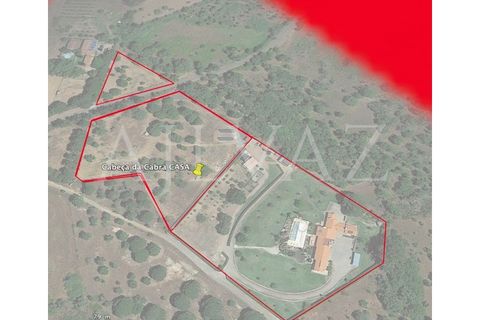 Farm i Sines, Setubal, Sines - € 2.900.000 | Ref: MAS_239 - foto 7