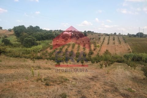 Terra a Carvalhal, Leiria, Carvalhal - € 60.000 | Ref: 130240187 - foto 2