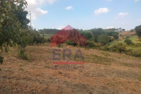 Terra a Carvalhal, Leiria, Carvalhal - € 60.000 | Ref: 130240187 - foto 3