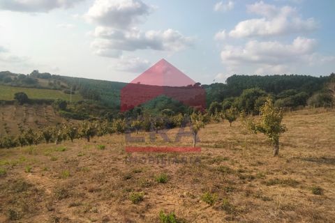 Terra a Carvalhal, Leiria, Carvalhal - € 60.000 | Ref: 130240187 - foto 4