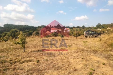 Terra a Carvalhal, Leiria, Carvalhal - € 60.000 | Ref: 130240187 - foto 6