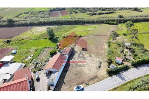 Helårsgrund i Torres Vedras, Lisbon, Torres Vedras - € 78.000 | Ref: 130240208 - foto 2