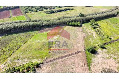 Helårsgrund i Torres Vedras, Lisbon, Torres Vedras - € 78.000 | Ref: 130240208 - foto 3