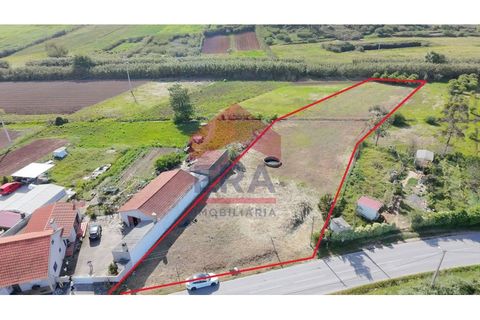 Helårsgrund i Torres Vedras, Lisbon, Torres Vedras - € 78.000 | Ref: 130240208 - foto 4