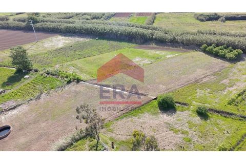 Helårsgrund i Torres Vedras, Lisbon, Torres Vedras - € 78.000 | Ref: 130240208 - foto 5