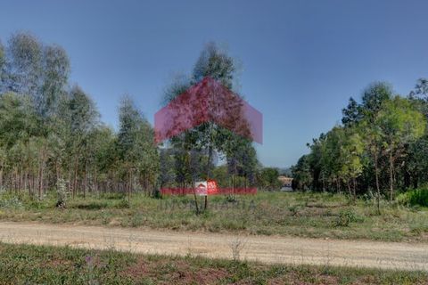 Helårsgrund i Bombarral, Leiria, Bombarral - € 362.000 | Ref: 130240115 - foto 1