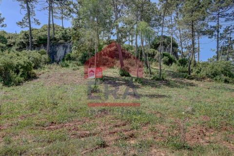Helårsgrund i Bombarral, Leiria, Bombarral - € 362.000 | Ref: 130240115 - foto 3