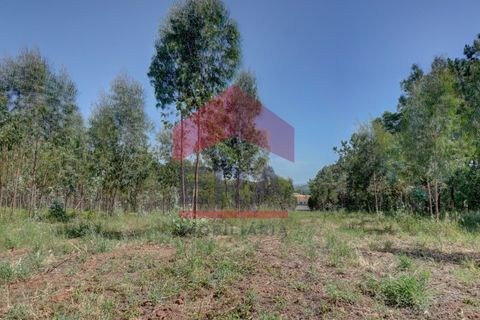 Helårsgrund i Bombarral, Leiria, Bombarral - € 362.000 | Ref: 130240115 - foto 4