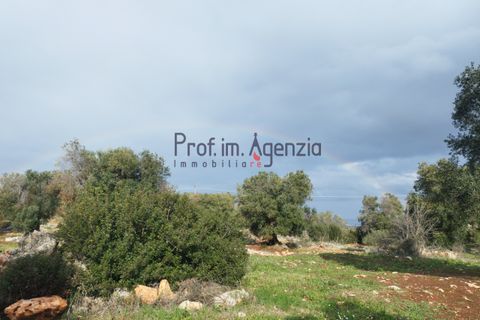 Helårsgrund i Carovigno, Brindisi, Carovigno - € 550.000 | Ref: 122833 - foto 6