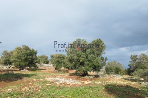 Helårsgrund i Carovigno, Brindisi, Carovigno - € 550.000 | Ref: 122833 - foto 3