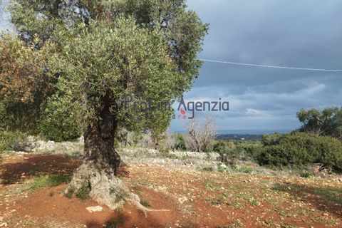 Helårsgrund i Carovigno, Brindisi, Carovigno - € 550.000 | Ref: 122833 - foto 1
