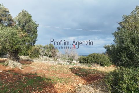 Helårsgrund i Carovigno, Brindisi, Carovigno - € 550.000 | Ref: 122833 - foto 2