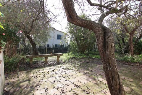 Villa i Montecarlo, Lucca, Montecarlo - € 550.000 | Ref: IA03994 - foto 23