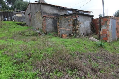 Villa i Tabua, Coimbra, Tabua - € 36.000 | Ref: 2436 MR - foto 15