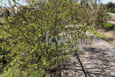 Helårsgrund i Odemira, Beja, Odemira - € 39.000 | Ref: KWPT-008696 - foto 6