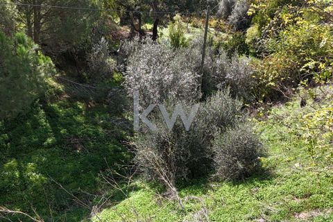 Helårsgrund i Odemira, Beja, Odemira - € 39.000 | Ref: KWPT-008696 - foto 7