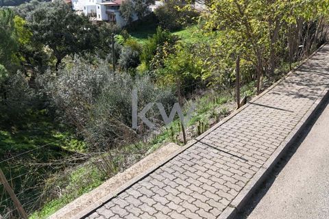 Helårsgrund i Odemira, Beja, Odemira - € 39.000 | Ref: KWPT-008696 - foto 8