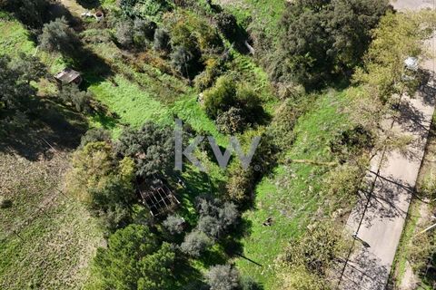 Helårsgrund i Odemira, Beja, Odemira - € 39.000 | Ref: KWPT-008696 - foto 9