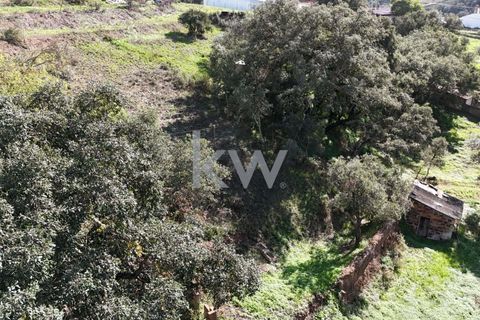 Helårsgrund i Odemira, Beja, Odemira - € 39.000 | Ref: KWPT-008696 - foto 10