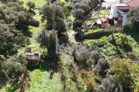 Helårsgrund i Odemira, Beja, Odemira - € 39.000 | Ref: KWPT-008696 - foto 11