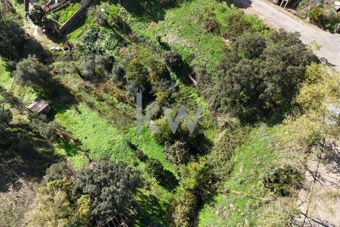 Helårsgrund i Odemira, Beja, Odemira - € 39.000 | Ref: KWPT-008696 - foto 12
