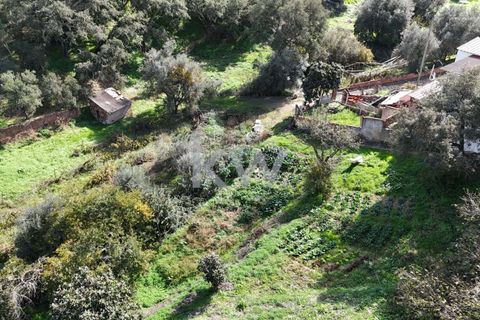 Helårsgrund i Odemira, Beja, Odemira - € 39.000 | Ref: KWPT-008696 - foto 13