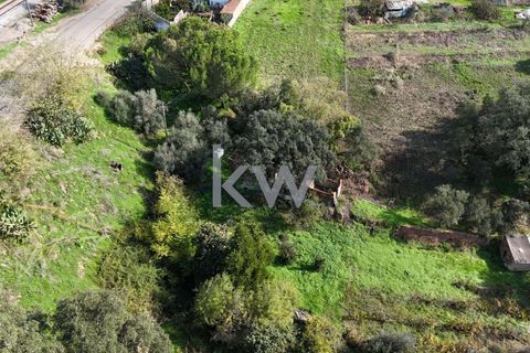 Helårsgrund i Odemira, Beja, Odemira - € 39.000 | Ref: KWPT-008696 - foto 14