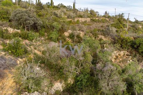 Terra a Conceicao e Estoi, Faro, Conceicao e Estoi - € 75.000 | Ref: 2276-1328 - foto 3