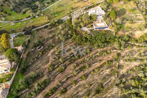 Terra a Conceicao e Estoi, Faro, Conceicao e Estoi - € 75.000 | Ref: 2276-1328 - foto 6