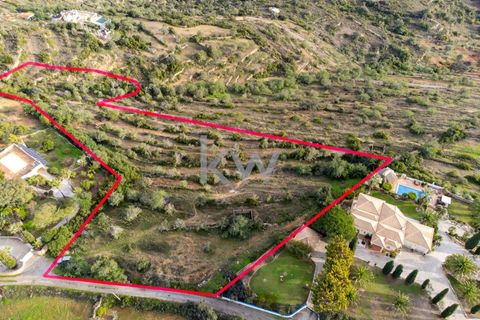 Terra a Conceicao e Estoi, Faro, Conceicao e Estoi - € 75.000 | Ref: 2276-1328 - foto 7