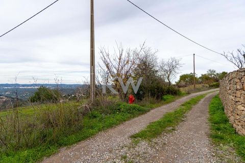 Terra a Conceicao e Estoi, Faro, Conceicao e Estoi - € 75.000 | Ref: 2276-1328 - foto 9