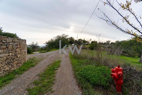 Terra a Conceicao e Estoi, Faro, Conceicao e Estoi - € 75.000 | Ref: 2276-1328 - foto 12