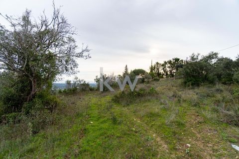 Terra a Conceicao e Estoi, Faro, Conceicao e Estoi - € 75.000 | Ref: 2276-1328 - foto 13