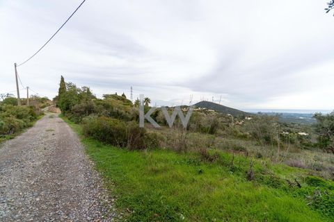 Terra a Conceicao e Estoi, Faro, Conceicao e Estoi - € 75.000 | Ref: 2276-1328 - foto 14