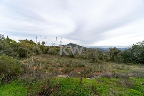 Terra a Conceicao e Estoi, Faro, Conceicao e Estoi - € 75.000 | Ref: 2276-1328 - foto 15