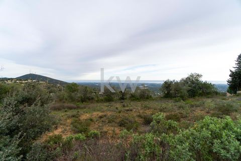 Terra a Conceicao e Estoi, Faro, Conceicao e Estoi - € 75.000 | Ref: 2276-1328 - foto 16