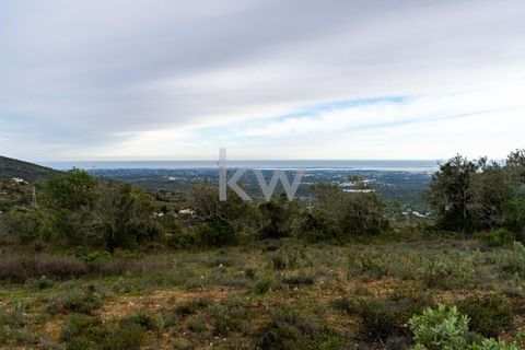 Terra a Conceicao e Estoi, Faro, Conceicao e Estoi - € 75.000 | Ref: 2276-1328 - foto 17