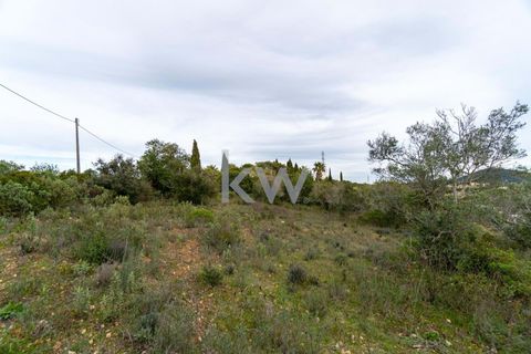 Terra a Conceicao e Estoi, Faro, Conceicao e Estoi - € 75.000 | Ref: 2276-1328 - foto 19