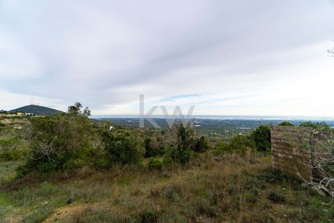 Terra a Conceicao e Estoi, Faro, Conceicao e Estoi - € 75.000 | Ref: 2276-1328 - foto 20